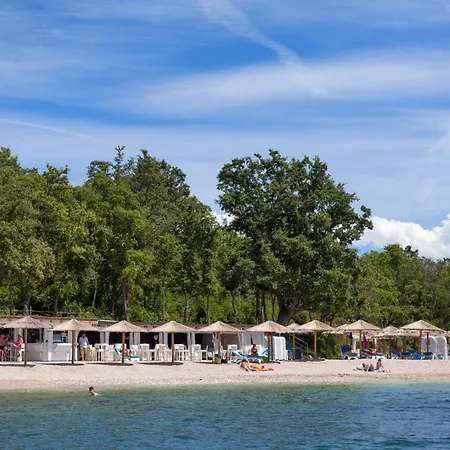 Stone House Nera With Pool Dračevac