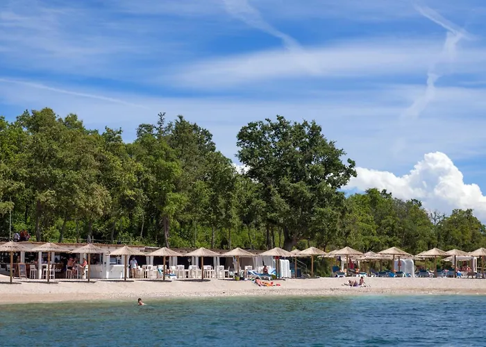 Stone House Nera With Pool Dračevac