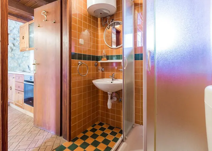 Stone House Nera With Pool Pensjonat Dračevac