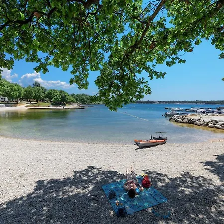 Stone House Nera With Pool Dračevac